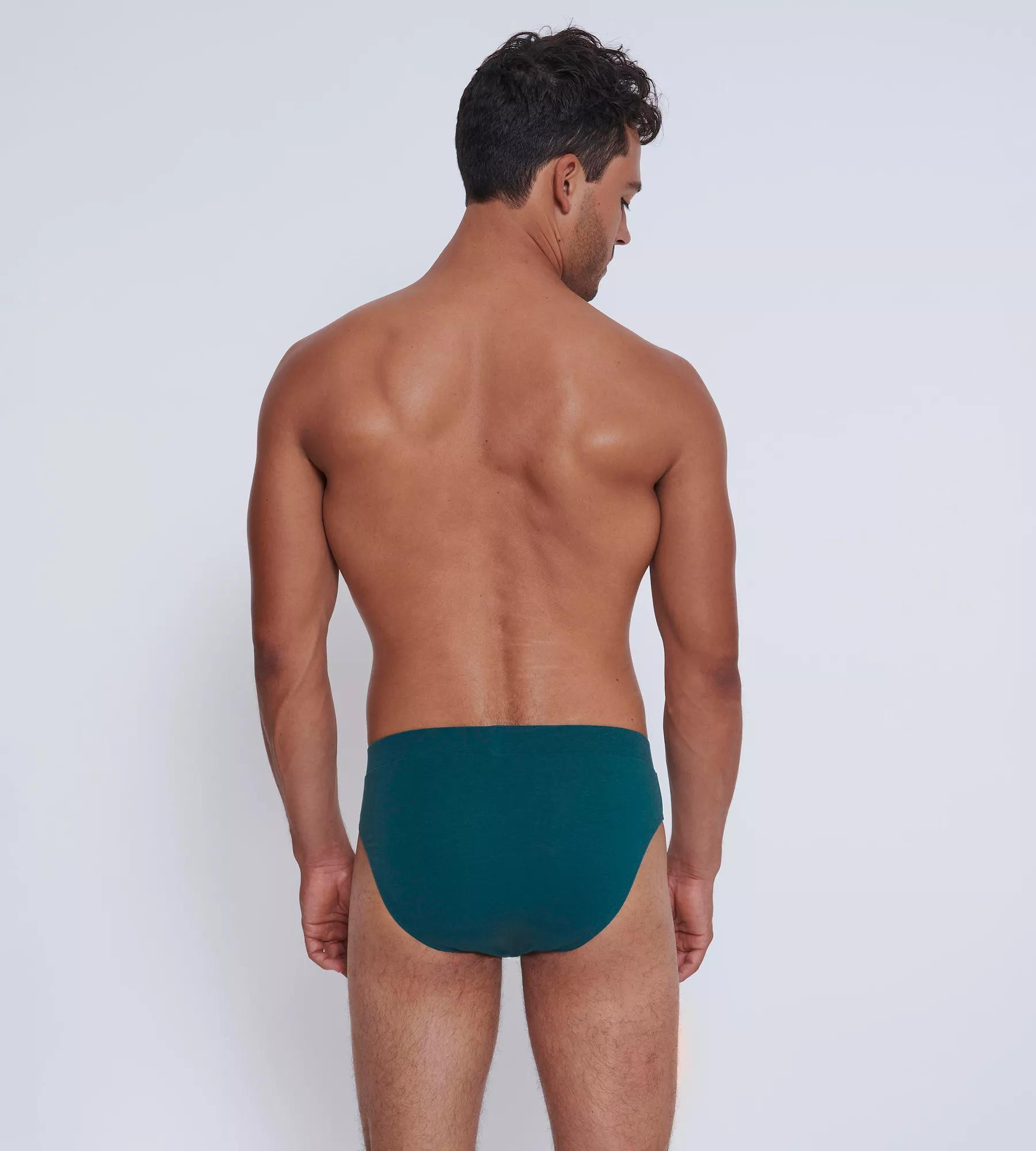 Pánské slipy GO Natural Brief C2P - UNKNOWN - vícebarevné V001 - SLOGGI UNKNOWN M