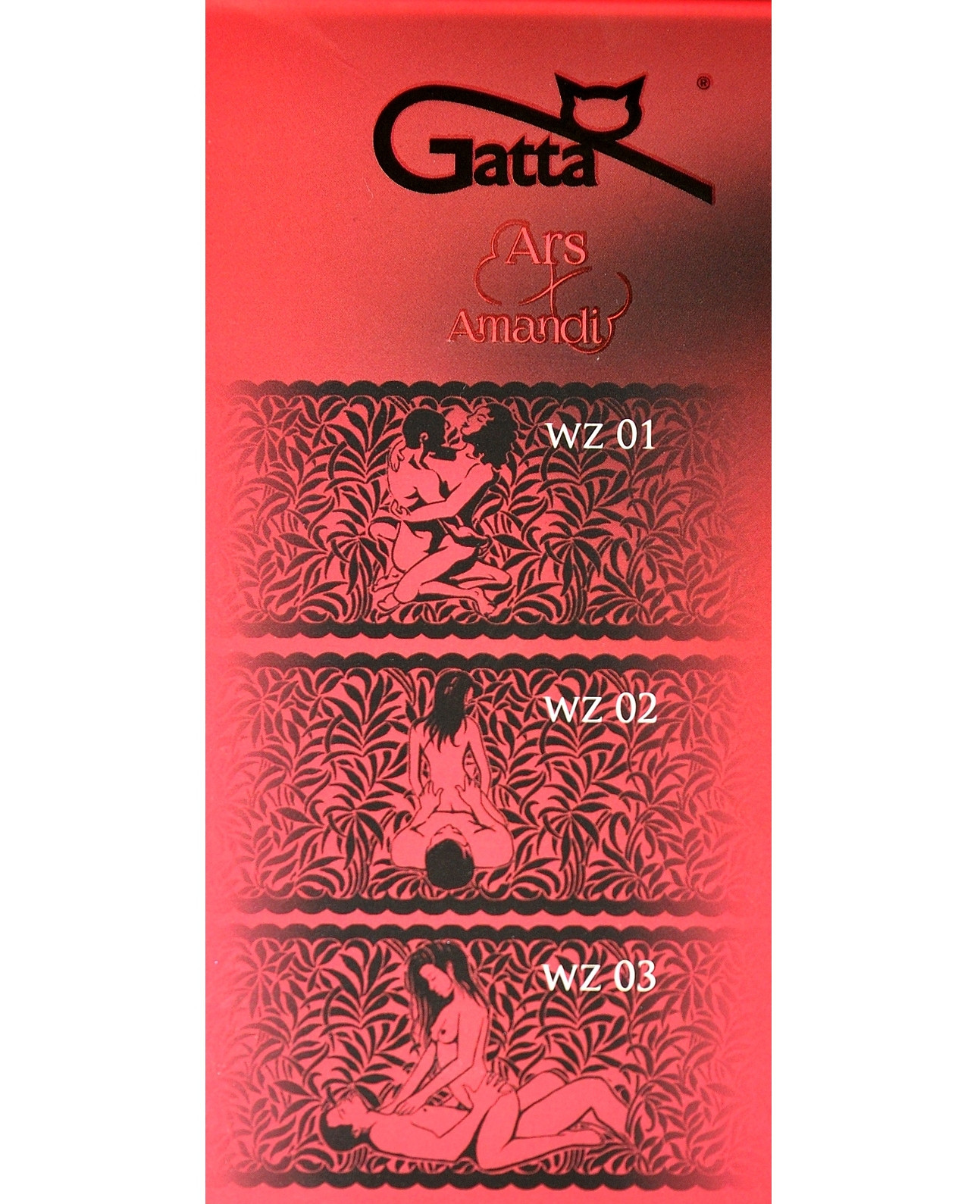 Dámské punčochy Calze 01 model 16197196 - Gatta Barva: nero/černá, Velikost: 3/4-M/L