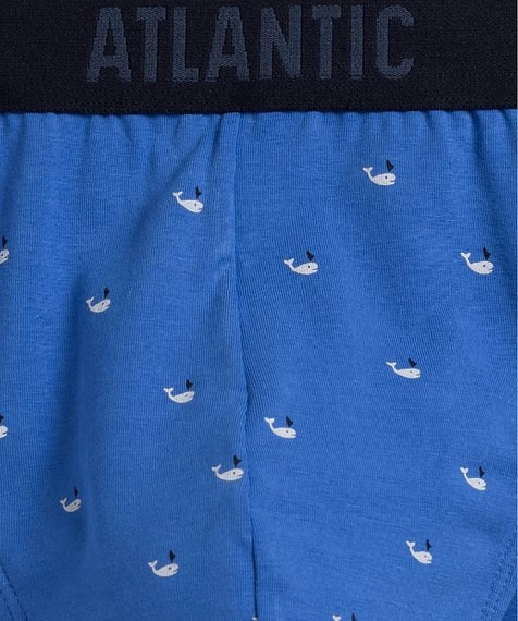 Pánské slipy Atlantic 3MP-158 A'3 S-2XL modro-zeleno-grafitový L