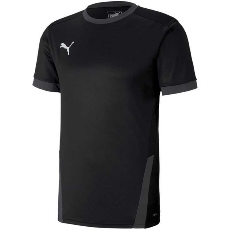 Pánské tričko Puma teamGOAL 23 Jersey M 704171 03 s