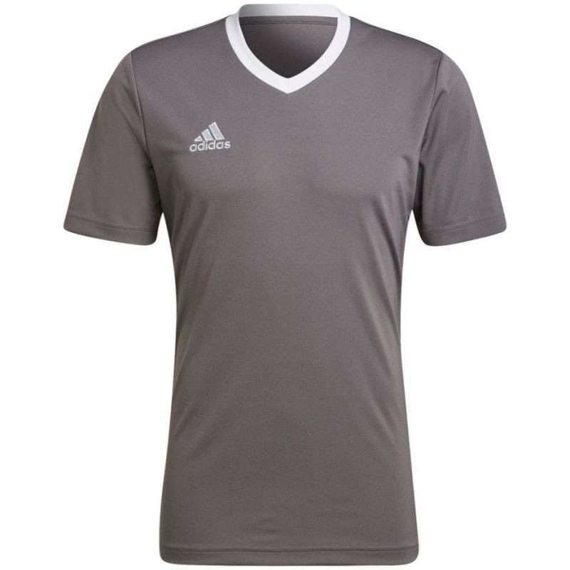 Pánské tričko Adidas T-shirt Entrada 22 Jersey M HE1574 pánské L