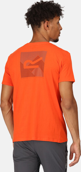 Pánské tričko Regatta RMT273-33L oranžové S