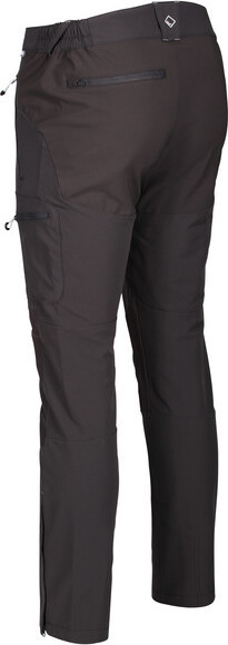 Pánské outdoorové kalhoty Regatta RMJ225R Questra II 61I tmavě šedé Šedá M