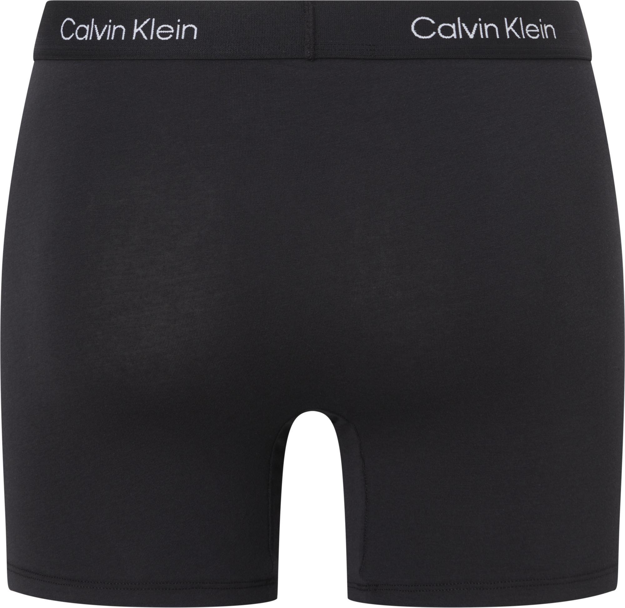 Spodní prádlo Pánské spodní prádlo Spodní díl BOXER BRIEF model 18770172 S - Calvin Klein