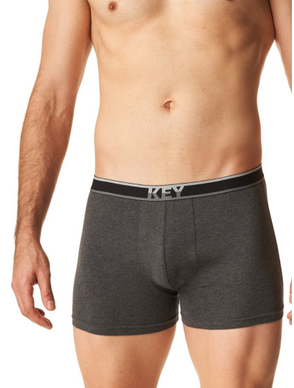 Pánské boxerky MXH model 20498252 B24 M2XL - Key