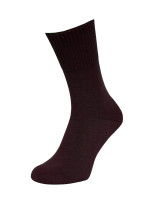 Pánské ponožky  Froté model 7463051 - Regina Socks