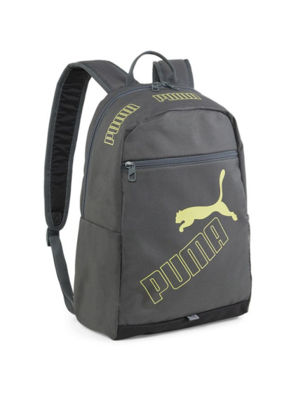 Phase Backpack II model 20723767 09 - Puma