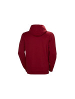 Helly Hansen Logo Hoodie M 33977-215