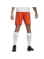 Pánské šortky Squadra 21 Short M GN8084 - Adidas