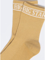 Big Star Standard Ponožky 210494 Gold 801