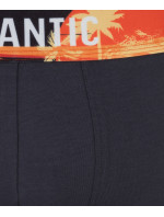 Pánské sportovní boxerky ATLANTIC 3Pack - šedé/černé