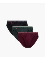 Pánské slipy ATLANTIC Sport 3Pack - vícebarevné