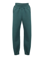 DKaren Pants Rehema Green