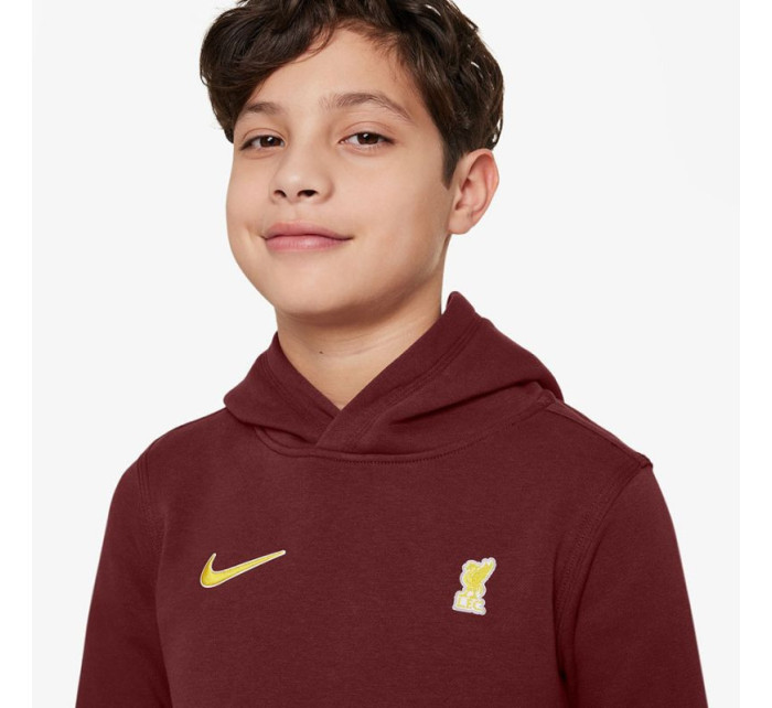 Nike Liverpool FC NSW Club PO Hoodie Jr FZ4149-619