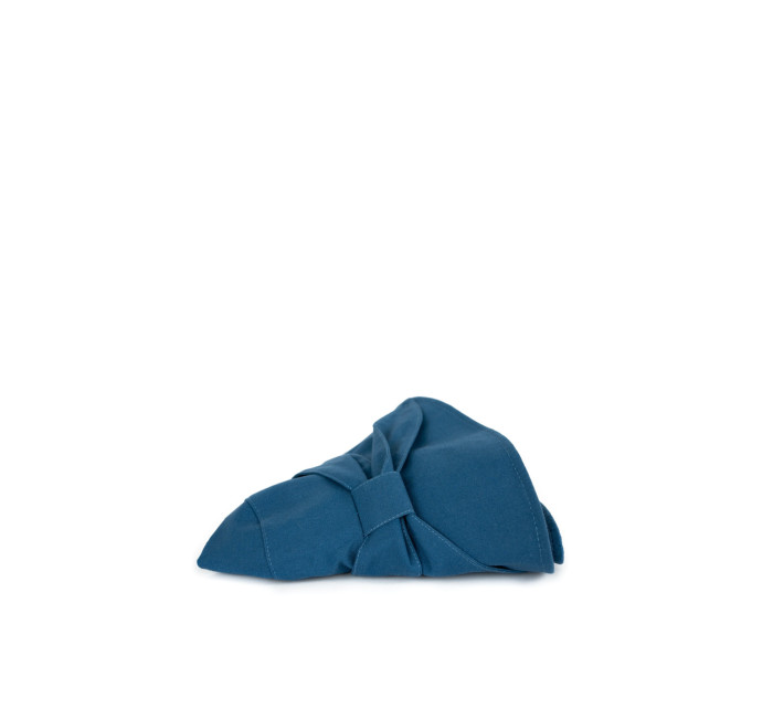 Hat model 19746513 Blue - Art of polo