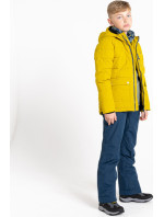 Dětská lyžařská bunda model 18684869 žlutá - Dare2B