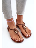 Dámské ploché sandály Ipanema Class Blow Up Sandal Fem Brown