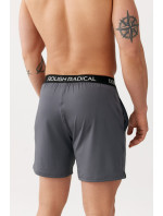 Shorts model 20123781 Shorts Dark Grey - Rough Radical