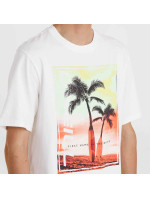 O'Neill Jack Neon T-Shirt M 92800613598