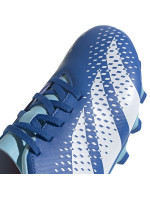 Fotbalové boty adidas Predator Accuracy.4 FxG M GZ0010