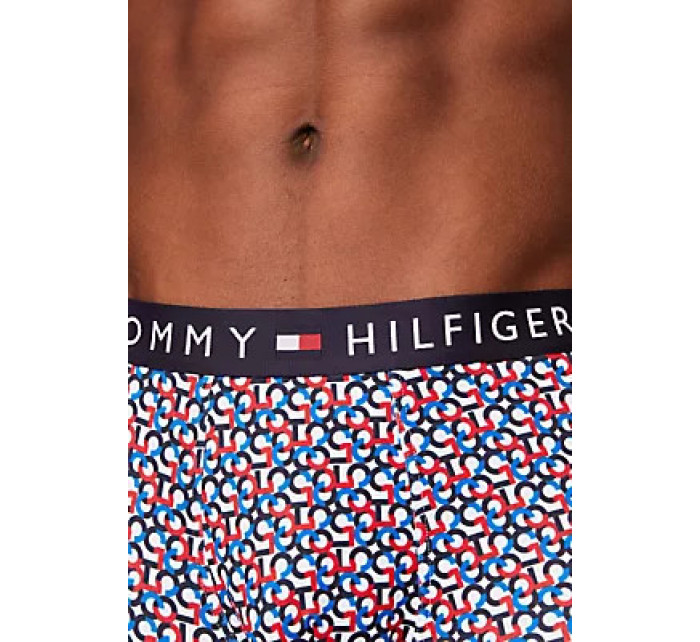 Pánské spodní prádlo TRUNK MF PRINT model 20167273 - Tommy Hilfiger