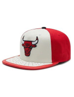 Kšiltovka NBA Day One Snapback Bulls model 20605789 - Mitchell & Ness