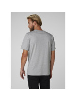 Helly Hansen Logo T-Shirt M 33979 950 pánské