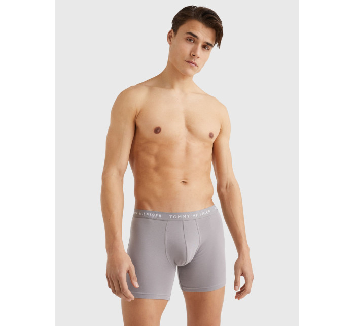 Pánské spodní prádlo 3P BOXER BRIEF UM0UM022040TG - Tommy Hilfiger