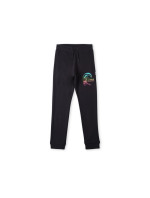 Kalhoty O'Neill Circle Surfer Jogger Jr 92800614937