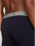 Pánské kalhoty 3P BOXER BRIEF WB model 20086133 - Tommy Hilfiger