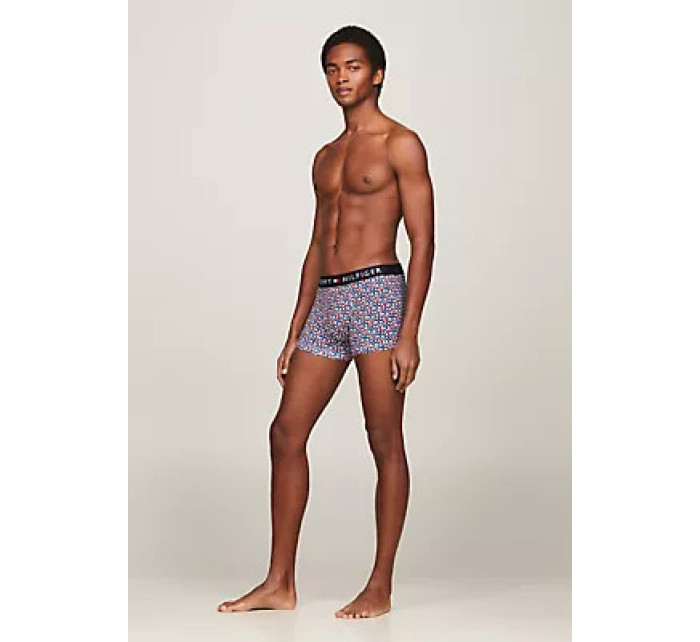 Pánské spodní prádlo TRUNK MF PRINT model 20167273 - Tommy Hilfiger