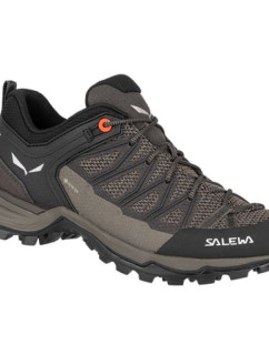 Salewa Mtn Trainer Lite GTX W dámské trekové boty 61362-7517