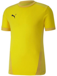 Pánské tričko Puma teamGOAL 23 Jersey M 704171 07