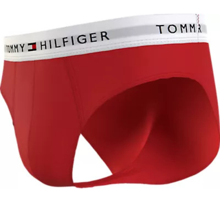 Pánské sáčky na tělo 3P BRIEF UM0UM027640XZ - Tommy Hilfiger