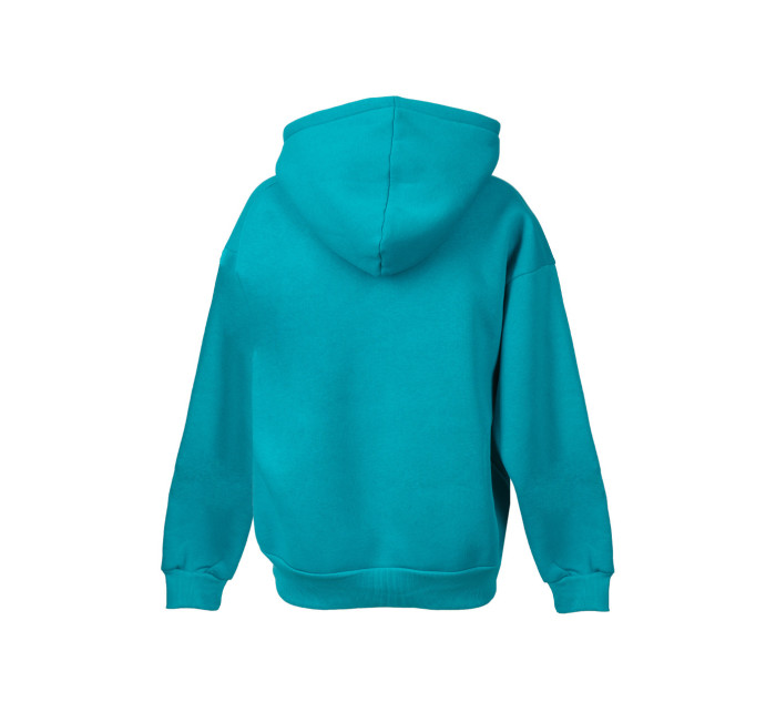 DKaren Sweatshirt Oseye Marine Green