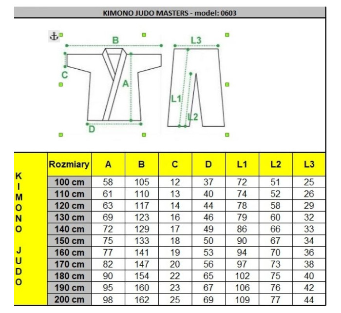 Kimono Masters judo 110 cm 06031-110