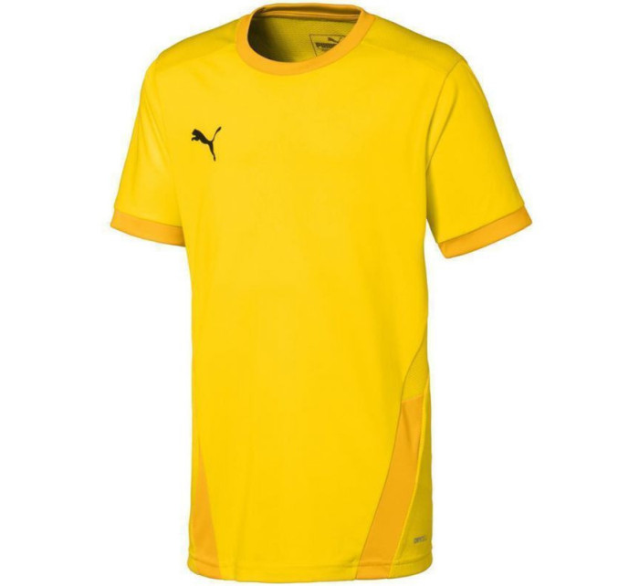 Dres Puma teamGOAL 23 Jr 704160 07