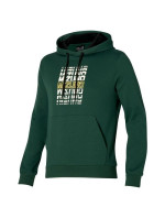 Graphic Hoody M model 20237240 mikina - Mizuno