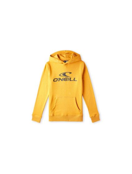 O'Neill Logo Hoodie Jr 92800615006