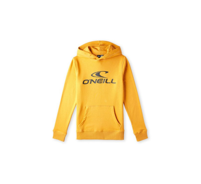 O'Neill Logo Hoodie Jr 92800615006