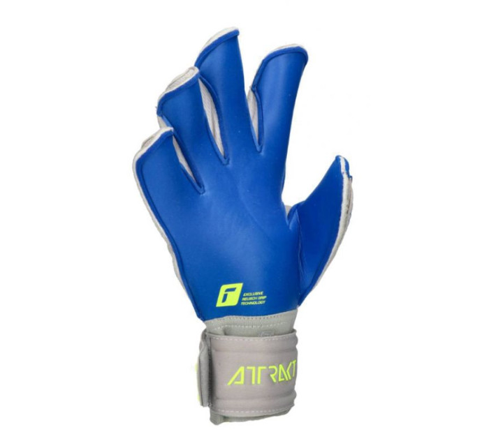 Brankářské rukavice Reusch Attrakt Gold Evolution Cut M 5270139-6006