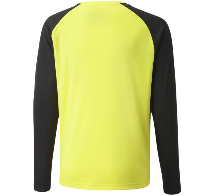 Brankářská mikina Puma teamPacer GK LS Jersey Jr 704939 42