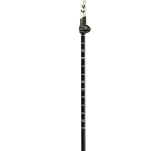 Hole Nils Extreme CARBON NW106 pro nordic walking