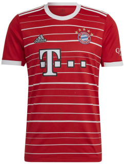 Pánské tričko adidas FC Bayern H Jsy M H39900