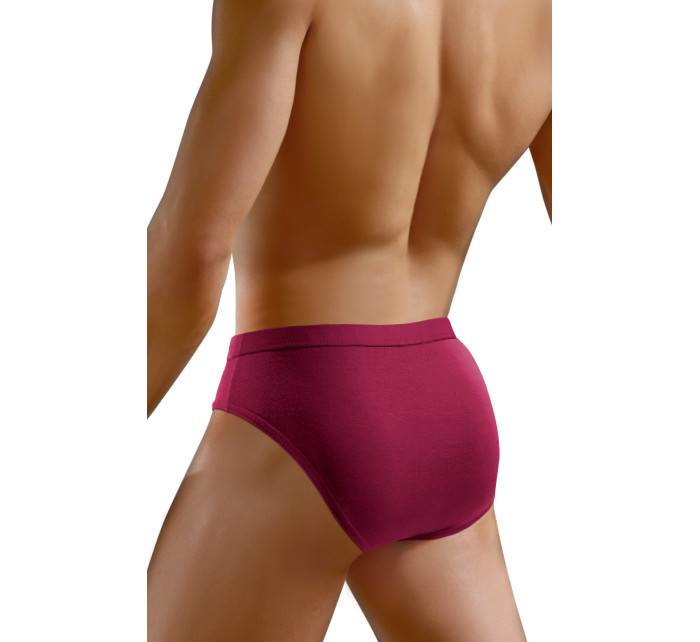 Pánské kalhotky model 18331702 Brief Claret - Sesto Senso