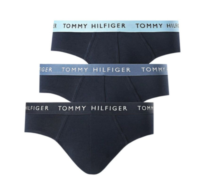 Tommy Hilfiger Wb Brief M UM0UM02389