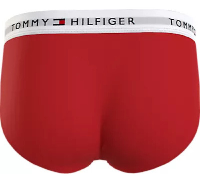 Pánské sáčky na tělo 3P BRIEF UM0UM027640XZ - Tommy Hilfiger