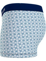 Pánské spodní prádlo TRUNK PRINT UM0UM028350U6 - Tommy Hilfiger