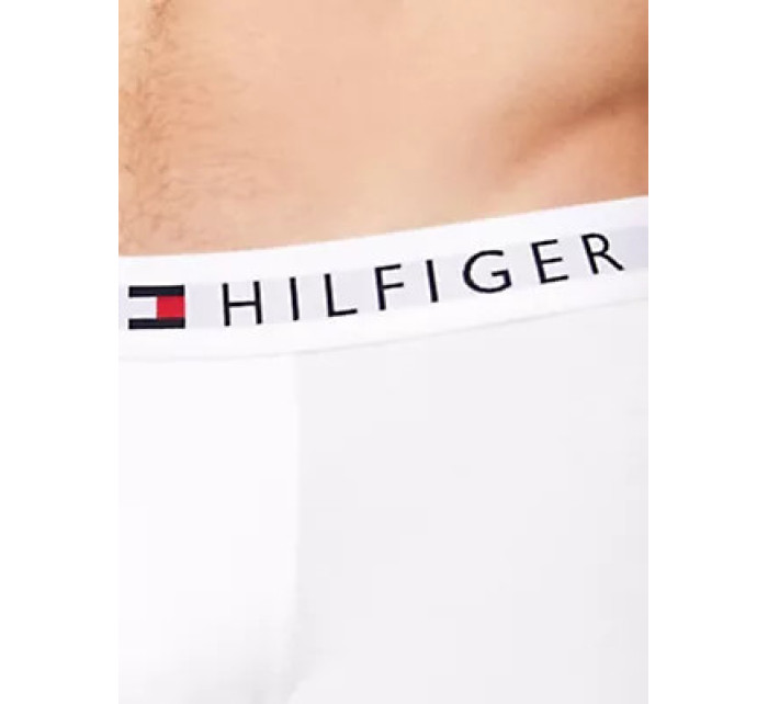 Blízko k tělu Pánské batohy 3P TRUNK WB model 19410561 - Tommy Hilfiger