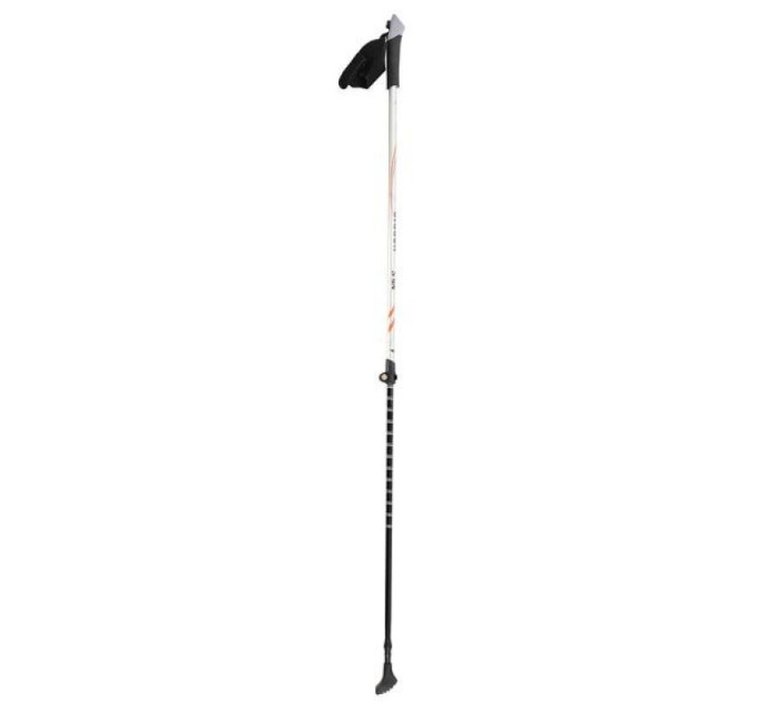 Hole Nils Extreme CARBON NW106 pro nordic walking